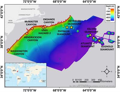 Environmental and Geomorphological Effects on the Distribution of Deep-Sea Canyon and Seamount Communities in the Northwest Atlantic